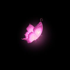 a pink butterfly is flying in the dark