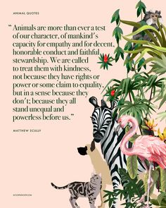 an animal quote with zebras and flamingos