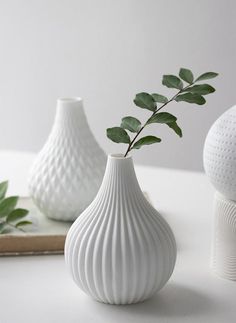 two white vases sitting on top of a table next to a green leafy plant