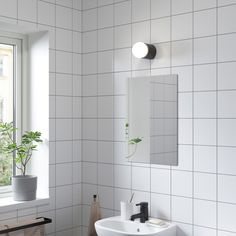 a bathroom with a sink, mirror and potted plant