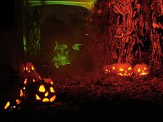 halloween pumpkins lit up in the dark