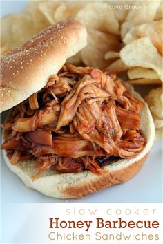 a pulled pork sandwich with chips on the side