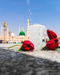 three red roses sitting on the ground next to a fountain with water pouring from it