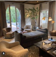 a living room filled with lots of furniture next to large windows and a potted tree