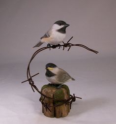 two small birds perched on top of barbed wire, one is yellow and the other is gray