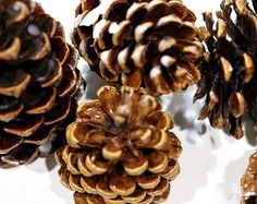 some very pretty pine cones on a white surface