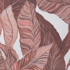 a drawing of some pink leaves on a white background with red and brown stripes in the center