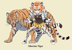 Tiger Ears, Plaid Clothes, White Footwear, Two Tone Hair, Tiger Tail, Skirt Print, Gloves White, Kemono Friends