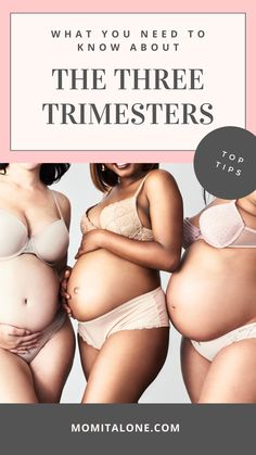 The basic breakdown of what you should know about the three trimesters of pregnancy Pregnancy Prep, Birthing Center, Weeks Of Pregnancy, Final Countdown, Hospital Bag Checklist, The Final Countdown, Birth Center