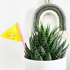 a plant in a white pot with a yellow flag sticking out of it's side