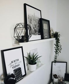 there are some pictures and plants on the shelf