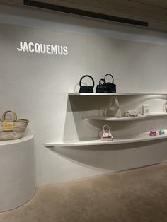 there is a display in the store with handbags and purses on shelving