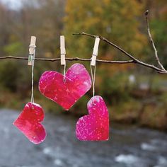 three hearts hanging from clothes pins on a branch over a river with trees in the background