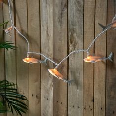 a string of lights that are on a wooden fence next to a potted plant