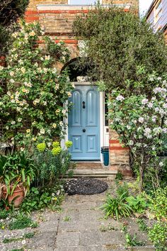 a blue front door surrounded by greenery and flowers