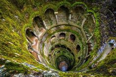 an aerial view of the inside of a spiral staircase with moss growing all over it