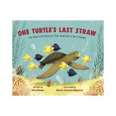 one turtle's last straw the real life rescue that inspired a sea change