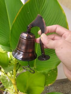 a person holding an old fashioned bell in front of a green leafy plant with a large metal hammer sticking out of it