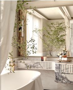 a bathroom with a tub, mirror and plants in the window sill next to it