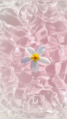 a white flower floating on top of water with pink and yellow reflections in the background