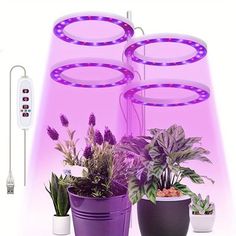 several potted plants are shown in front of a purple light with remote controls on the wall