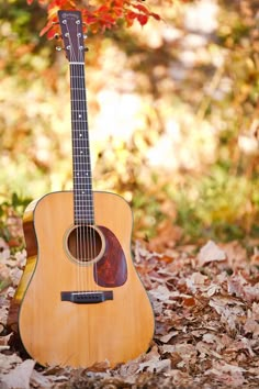 an acoustic guitar sitting in leaves on the ground next to a tree with red leaves around it