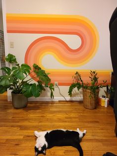 70s wavy wall art with pink peach yellow orange tones in a rainbow looping together with a big monstera plant and zz plant on the right wooden floor with a very cute black and white Cat laying on the floor looking at the camera Aesthetic Room Wall Painting, Aesthetic Walls Painted, Wall Painting Inspo Aesthetic, Wall Mural Design Ideas, Painting Ideas On Wall Aesthetic, Groovy Wall Painting, 70s Wavy Wall Art