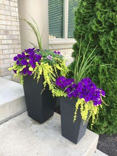 two black planters with purple and yellow flowers