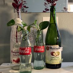 three bottles and two vases with flowers in them sitting on a white table top