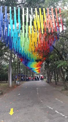 a rainbow colored sculpture hanging from the side of a tree filled street next to tall trees