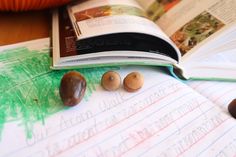 an open book sitting on top of a table next to rocks and crayon paper