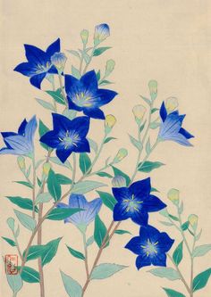 blue flowers with green leaves on a beige background