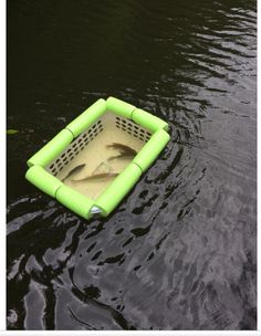 an inflatable fish trap floating on top of the water with two fish inside