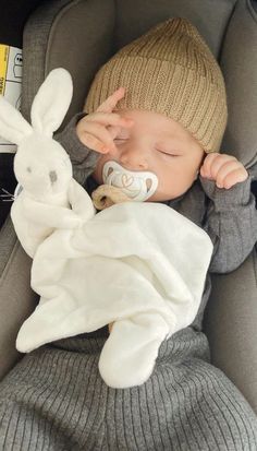 a baby sleeping in a car seat with a stuffed rabbit on it's back