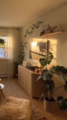 a living room filled with furniture and a plant on top of a wooden table next to a window