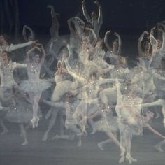 a large group of ballet dancers in white tutus