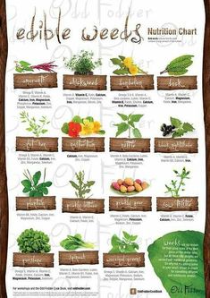 the edible weeds chart is shown on a wooden board with different types of plants and their names