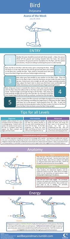 an info sheet describing the different types of aircrafts and their functions in flight, including landing