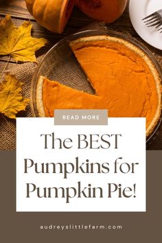 the best pumpkin pie for fall is on display in front of an orange pumpkin and some leaves