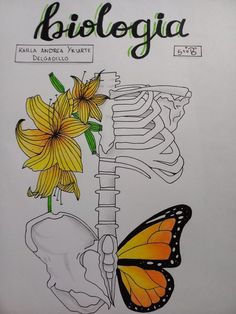 a drawing of a skeleton and flowers with the words diastogica on it