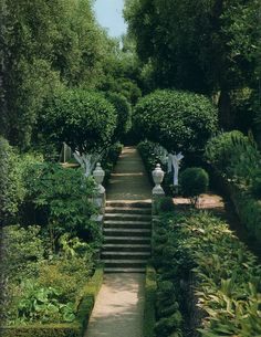 an image of a garden setting with steps leading up to the trees and bushes on either side