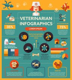 an info poster for veterinarian info graphics