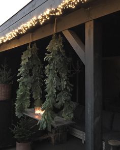 christmas lights hanging from the roof of a building with evergreen trees in front of it