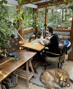 a woman sitting at a desk with a dog laying on the floor