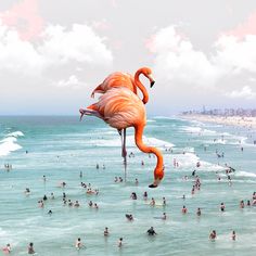 there are many people swimming in the ocean and one flamingo is standing on stilts