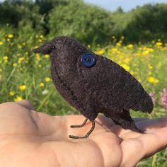 a small black bird sitting on top of a persons hand