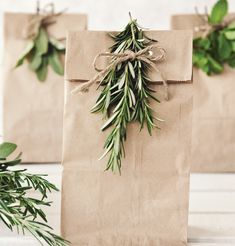 two brown paper bags tied with twine and some green leaves on top of them