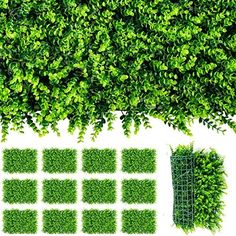 an overhead view of a green tree with lots of leaves on it's sides