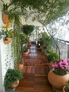 the walkway is lined with potted plants on either side of the building and has wooden floors