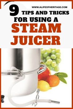 The Best Steam Juicer Buying Guide for YOU! 2021 Nutrient Dense Recipes, Storing Produce, Canning For Beginners, Produce Garden, Curing Meat